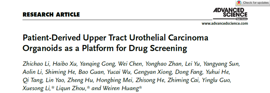 Advanced Science|黄卫人/周利群/李学松合作构建上尿路上皮癌类器官体系及应用