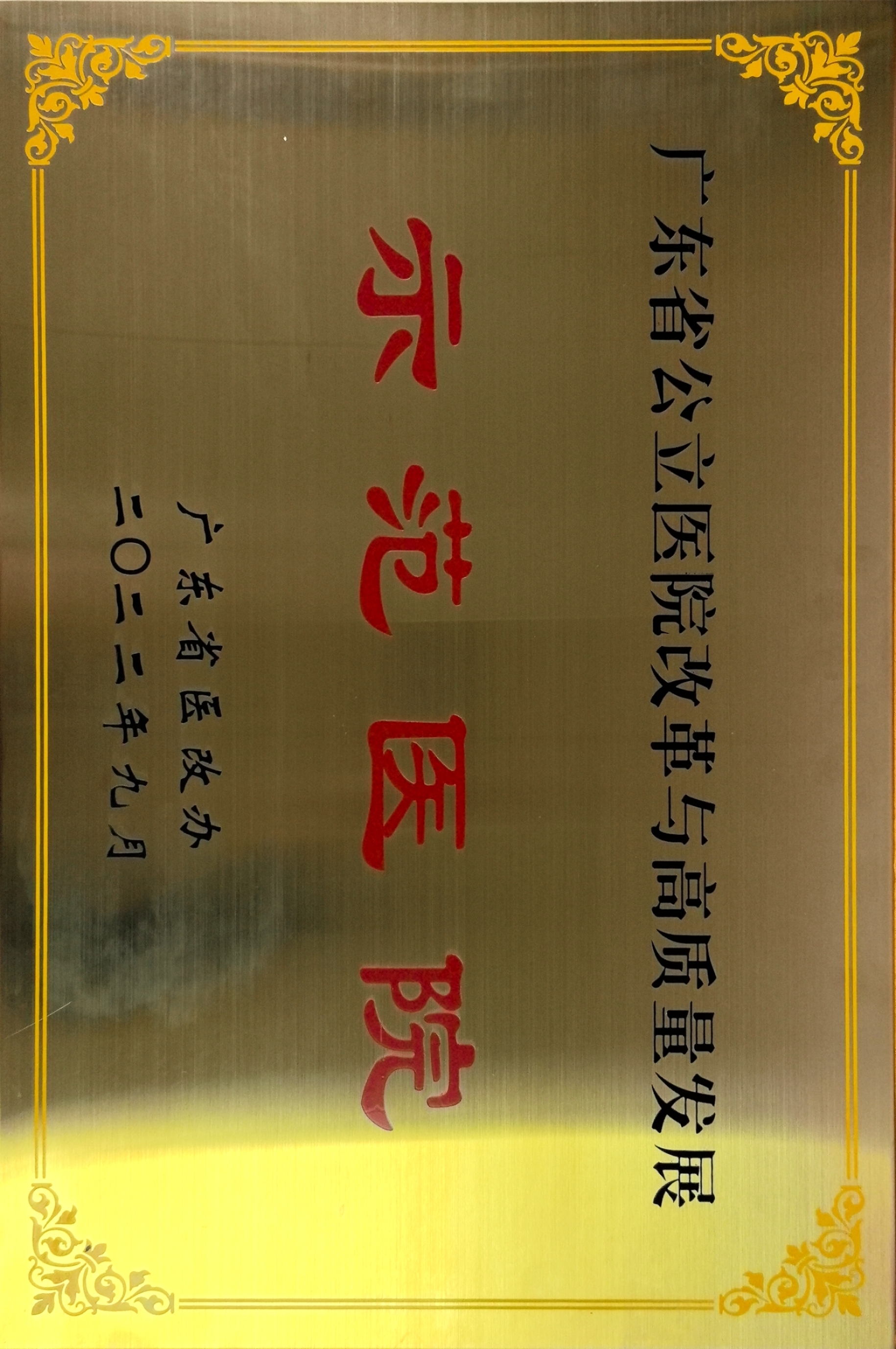  广东省公立医院改革与高质量发展示范医院